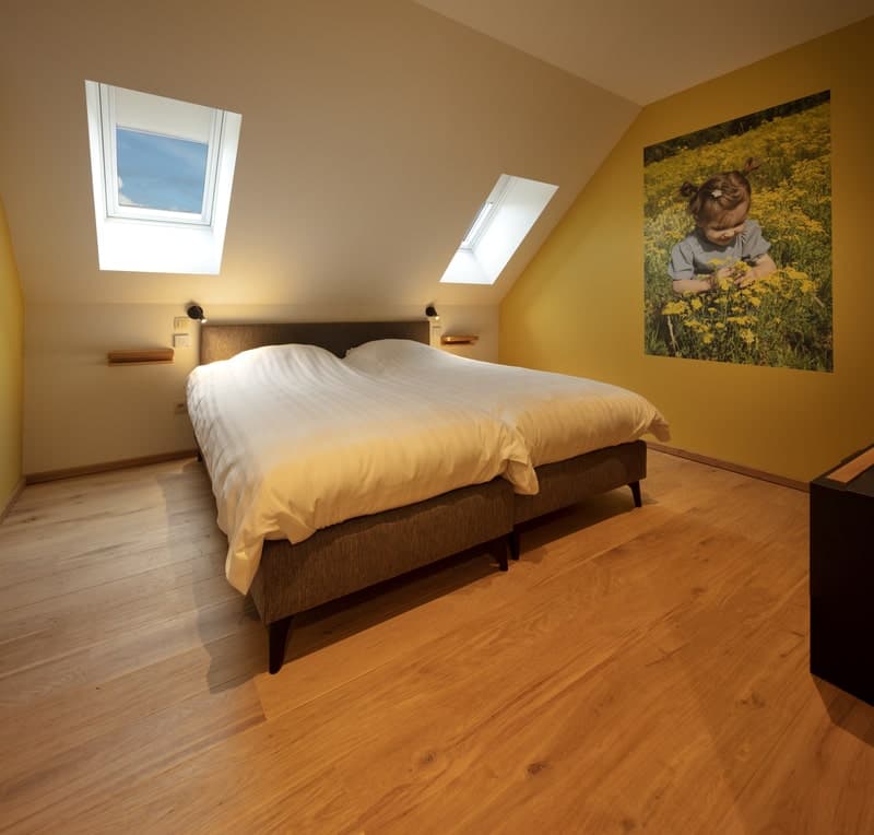 Themakamer onder het dak met dakramen