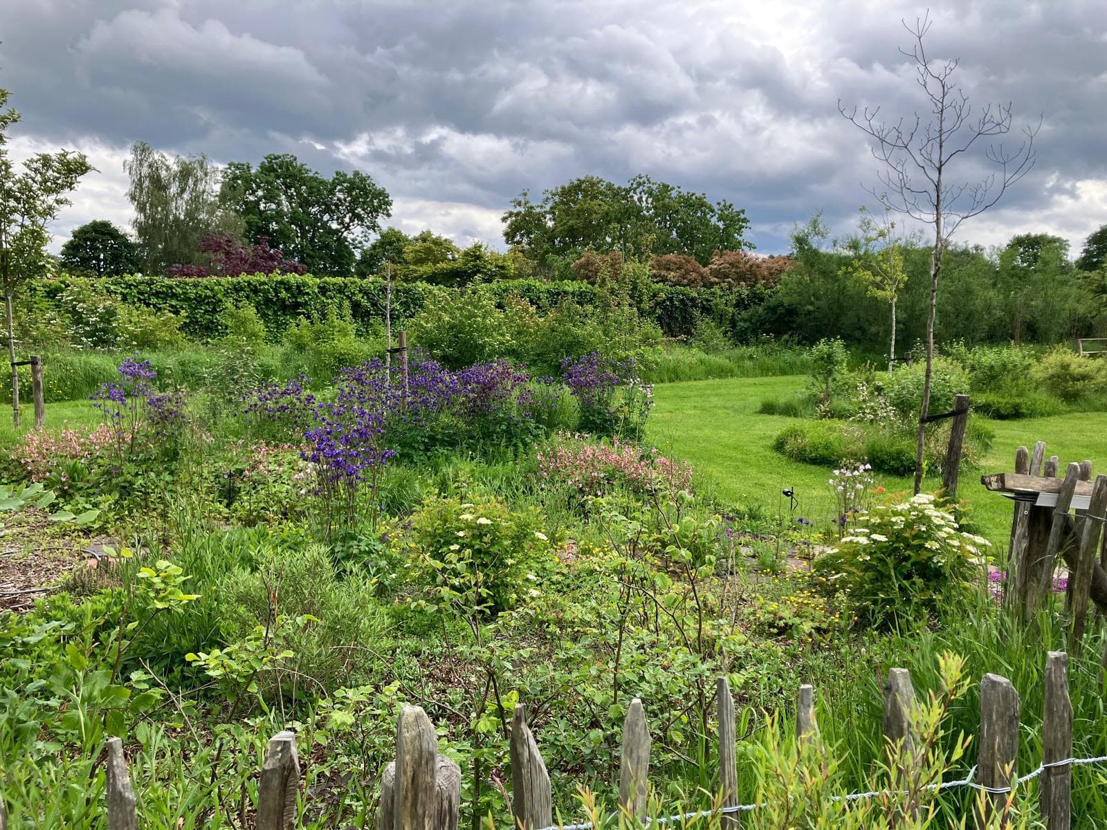 Wilde tuin met bloemenborder